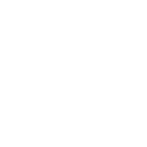 Logo LSI Architecture